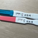 태명메디칼(주) | 임신기록1) 산전검사&amp;3~5주차