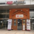 일등카레 돈카츠카레 후기