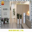 최선택연합속내과의원 이미지