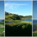 사우스케이프오너스클럽 이미지