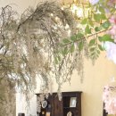 푸른하우스 이미지