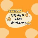 🥔 감자캠스터디 🥔 이미지