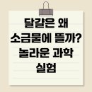 호기심과학실험 이미지