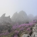 남도의꿈 2농장 | [강진·해남 등산] 남도의 공룡능선 '덕주두 종주' (덕룡산-주작산-두륜산) 완주 후기 및 GPX 공유!