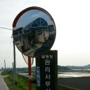 동강리오토캠핑장 이미지