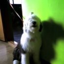 (주)참도담 이미지