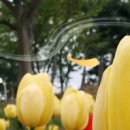 모도리 바지락캐기 네이버블로그
