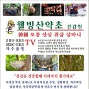 장생산약초