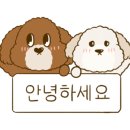 북면그숲 이미지