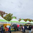 2024 마포나루 새우젓 축제 실제 참가 후기. 축제 일정 장소 프로그램 공연 정보
