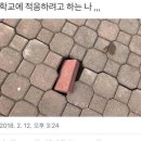 25살 새내기인데여 같이다니는 무리단톡에 이런거 올리면 띠용할까요...? 이미지