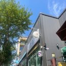 견사무소 애견미용실 | 천안 시바견 미용, 뽀도기 애견미용실 후기 (시바견 엉덩이컷, 위생컷, 목욕)