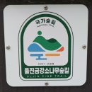 [등산] 금강소나무숲길 4구간