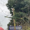 드디어 정신 돌아온 교환학생 (St.brigid&#39;s day trip/ The Cliffs of Moher)