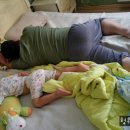 이랑 이미지