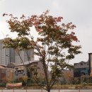 노브랜드김천율곡점 티스토리