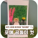 털이몽땅 이미지