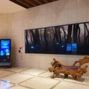 소노펠리체 컨트리클럽 델피노 이미지