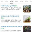 휴식물디자인샵 이미지