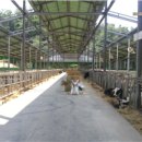 농고목장 이미지