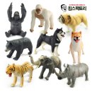 말랑말랑 이미지