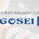 [올해 마지막 12월 선착순 이벤트] GOSEI코포레이션 x 동유모 이벤트 이미지