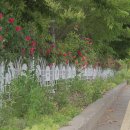 옥산로60 이미지