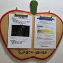 옹달샘시장 | 충북 문성자연휴양림 휴양관 숙소 후기(수도권 접근 가성비+충주상품권 30% 환불)