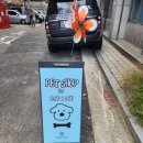 니드포펫 | [내돈내산 탐방] 양재 니드포펫_반려견&amp;반려묘 간식, 사료, 용품점(feat. 온라인몰)