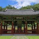 국사랑 헤럴드경제