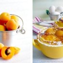 살구네집 이미지