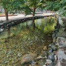 다리안캠핑장 이미지