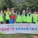 하나네트워크 프레스뉴스