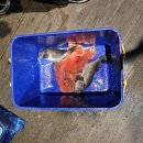 인천낚시터 이미지