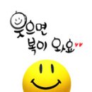 청보리 농장 이미지