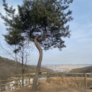 아르보리아파크 캠핑장 | [ 강화 캠핑장 ] 다섯번째 캠핑 : 아르보리아 캠핑장