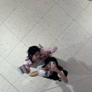 도토리케이크 이미지