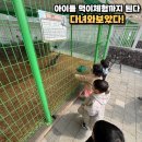 DMZ생태관광지원센터 앞 잔디마당 | 밀양 아이랑 가볼만한곳 선샤인테마파크 생태체험관 에코팜빌리지 동물먹이체험까지 총정