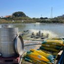 강원사료 이미지