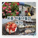 망원정마당 공중화장실 | 망원동 가볼만한곳 추천 감성 카페부터 한강까지 서울 데이트코스