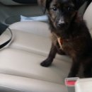 연우와 집 이미지