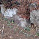 동이트는민박 이미지