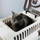 하슬라동물병원 이미지