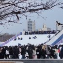 한강공원 뚝섬눈썰매장