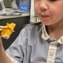 너겟 주식회사 | 아이반찬 추천 하림 용가리치킨 &amp; 용가리땡