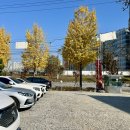 5형제특허손짜장마을 | 하남 미사 근처 중식 맛집 오형제손짜장(주차,메뉴,탕군만두)