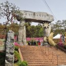 원종종합시장 이미지