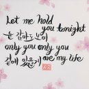 White Night 가사 캘리🌸 이미지