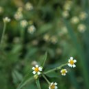 장고개공원 이미지