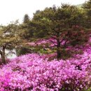 (주)청담원 이미지